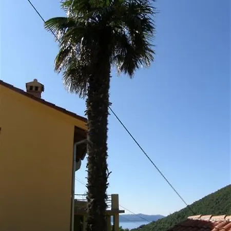 Vinetilia