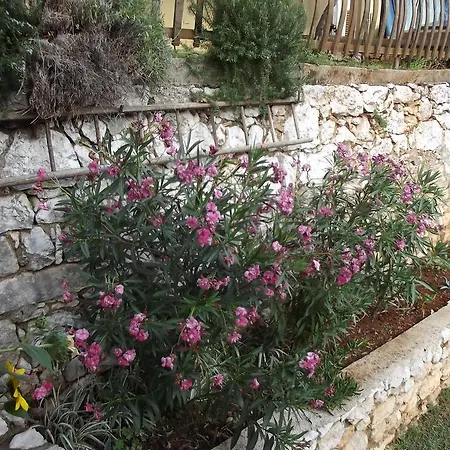 Lägenhet Vinetilia Mošćenička Draga