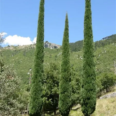 Apartman Vinetilia *