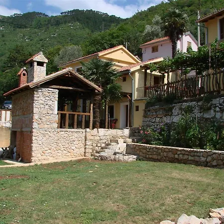 Vinetilia
