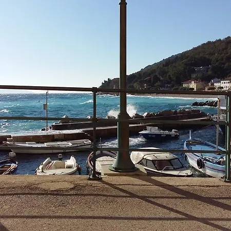 Apartman Vinetilia *