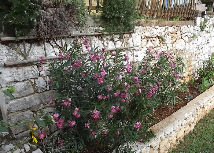 Apartment Vinetilia Mošćenička Draga